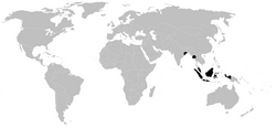 Distribution.stylocellidae.1.png