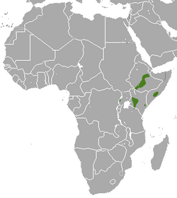 East African Epauletted Fruit Bat area.png