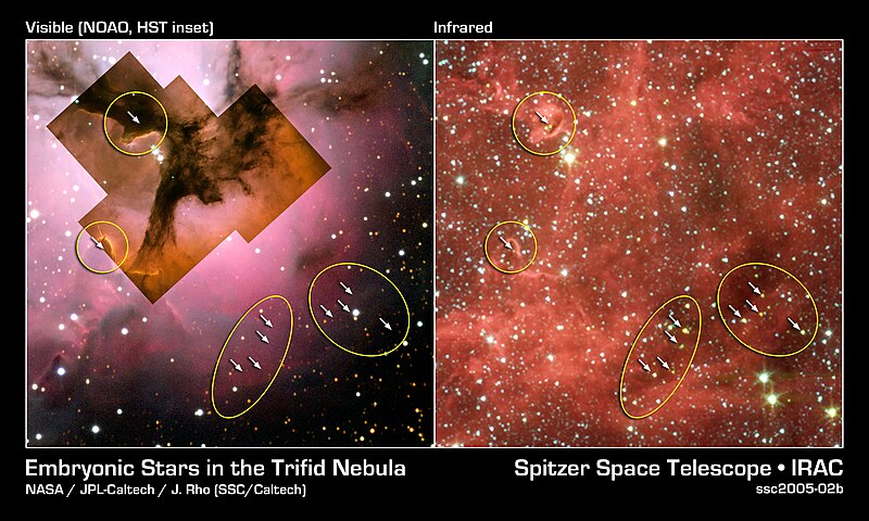 File:Embryonic Stars in the Trifid Nebula.jpg