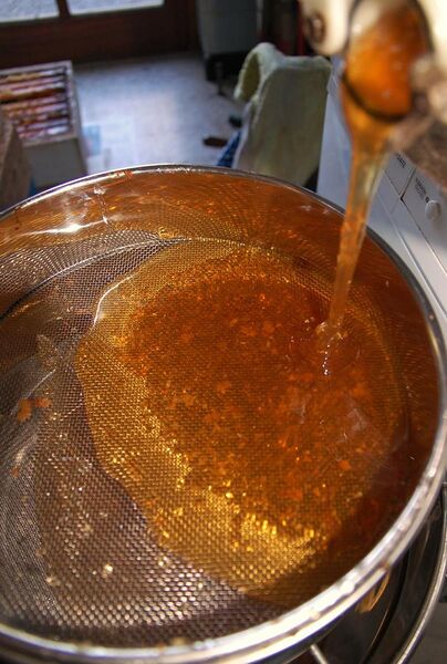 File:Filtering of honey.jpg