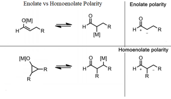 Homoenolate polarity.png