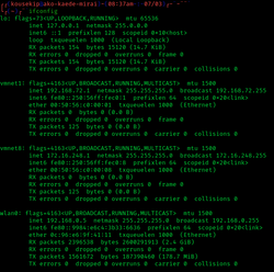 Ifconfig example screenshot.png