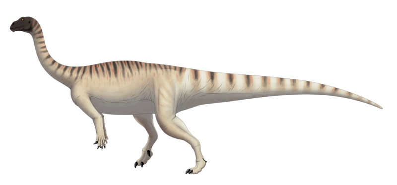 File:Mussaurus patagonicus life restoration.png