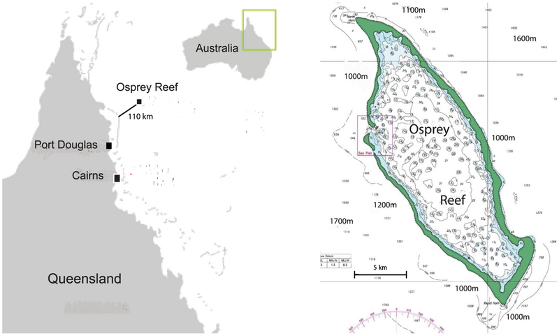 File:Osprey Reef map.png