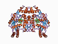 PDB 1d1y EBI.jpg