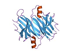 PDB 1qwh EBI.jpg