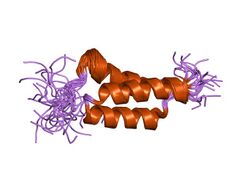 PDB 1ss1 EBI.jpg