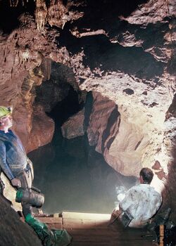 Pridhamsleigh Cavern, Devon. - geograph.org.uk - 1197963.jpg