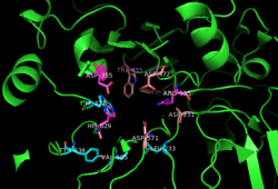 SI active site.png