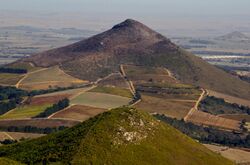 Shale Renosterveld on Klapmuts hill after a veld fire - Western Cape SA.jpg
