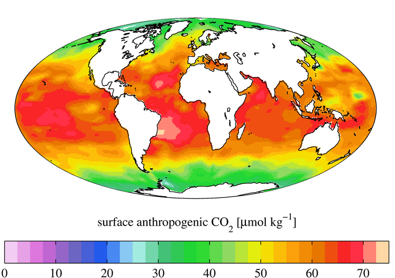 File:Surface ocean anthropogenic CO2 concentration, GLODAPv2.png