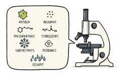 WHO EN Vaccines Topic Two Ingredients static 8Dec2020.jpg