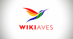 colorful bird with 'WIKIAVES' text