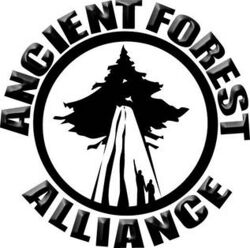 Ancient Forest Alliance logo.jpg