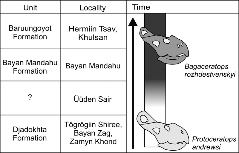 File:Bagaceratops & Protoceratops evolution.png