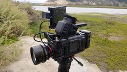 Canon EOS C700 MultiDyne by D Ramey Logan.jpg