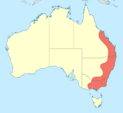 Cordulephya pygmaea distribution map.svg