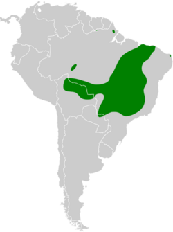 Cypsnagra hirundinacea map.svg