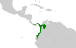 Myrmotherula pacifica map.svg