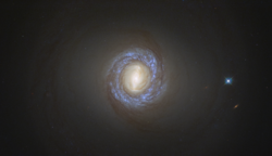 NGC 1317.png