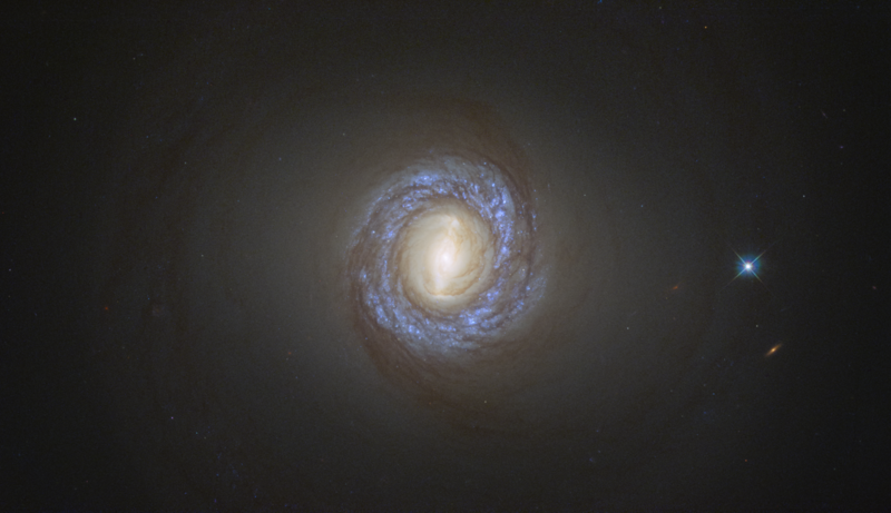 File:NGC 1317.png