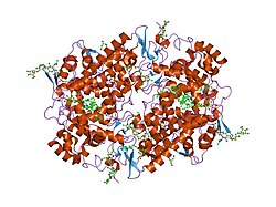 PDB 1q4g EBI.jpg