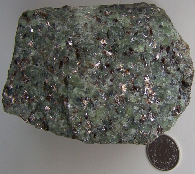 File:Phlogopite peridotite.jpg