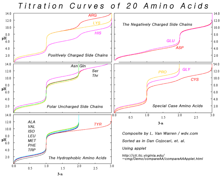 File:Titration Curves of 20 Amino Acids Organized by Side Chain.png