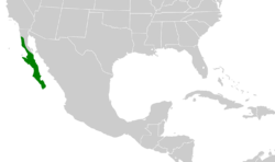Toxostoma cinereum map.svg