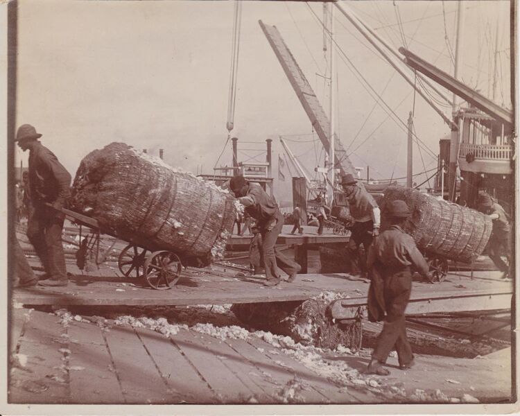 File:Unloading cotton from steamboat 001.jpg