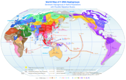 World Map of Y-DNA Haplogroups.png