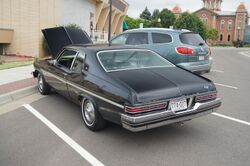 1973 Buick Apollo (19215652733).jpg