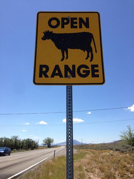 File:2014-08-09 12 07 15 Open Range sign along southbound U.S. Route 93 in far northern Lincoln County, Nevada.JPG