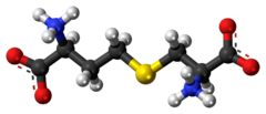 Ball-and-stick model of the cystathionine molecule as a zwitterion