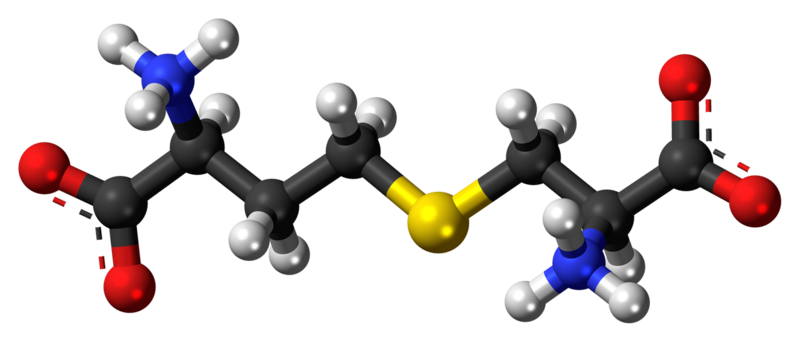 File:Cystathionine zwitterion 3D ball.png