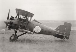 Gloster gamecock.jpg