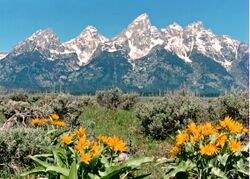 Grand Teton 1986.jpeg