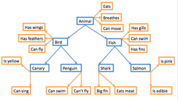 Hierarchical Model Mental Lexicon.png