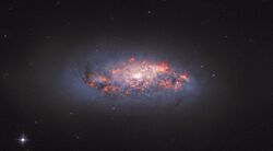 NGC 972 In Bloom.jpg