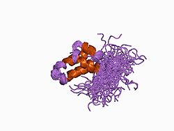 PDB 1bnp EBI.jpg