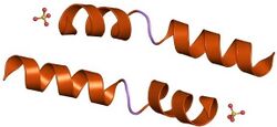 PDB 2mlt EBI.jpg