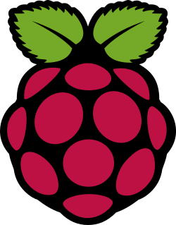 Raspberry Pi Logo.svg