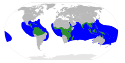 Rhizophoraceae Distribution.svg