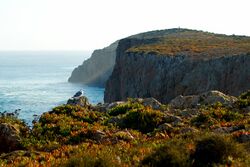 Sagres (7321736608).jpg