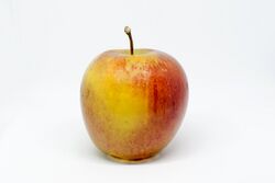 Scifresh (Apple).jpg