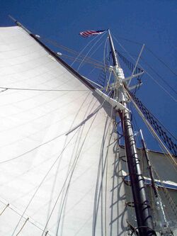 Shenandoah's sails.jpg