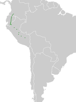 Snowornis subalaris map.svg