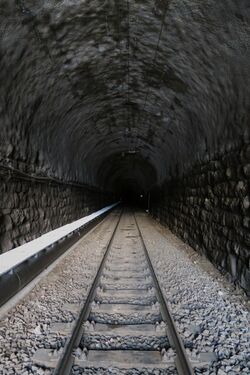 Spinas - Albula Tunnel (15934467020).jpg
