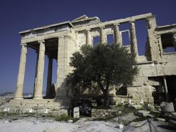 Temple to Athena in the Acropolis (33601275036).jpg