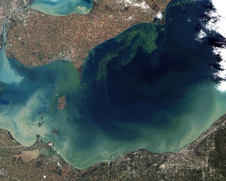 File:Toxic Algae Bloom in Lake Erie.jpg